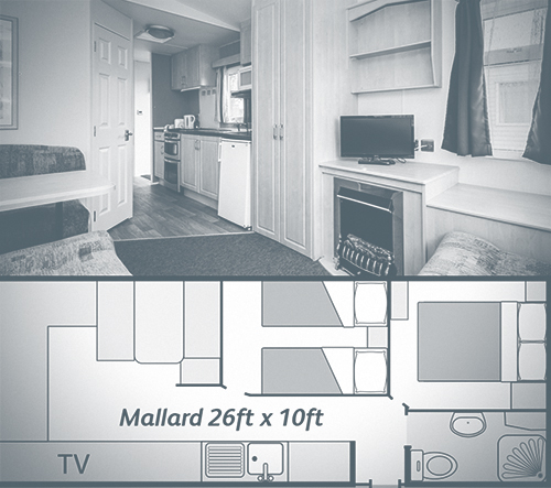 Silver Range Mallard Holiday Home